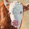 Phil Beck (b. 1949) Four Cow Portraits