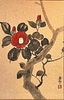 Chinese Painting, Flowering Camellia Branch