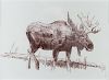 Ambling Moose by Bob Kuhn