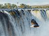 Victoria Falls - African Fish Eagle by Guy Coheleach
