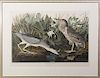 John James Audubon (1785-1851), "Night Heron or Qu