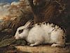 Attributed to James Ward (British, 1769-1859)      Black-spotted Rabbit in a Landscape