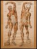FRANZE FROHSE: ANATOMICAL CHARTS
