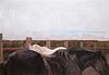 Susan Hertel, Untitled (Two Horses, Fence, Sky)