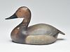Canvasback hen, Ward Brothers or possibly Noah Sterling, Crisfield, Maryland, 1st quarter 20th century.