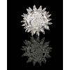 LUKE JERRAM Glass microbiology sculpture