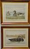 Alexander Pope Jr. (1849-1942), set of eight chromolithographs, from Upland Game Birds and Waterfowl of the United States, The Brand...