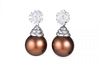 Fine Cultured Chocolate Pearl and Diamond Earrings