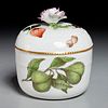 Meissen botanical sugar bowl and cover, 18th c.