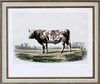ISIDORE BONHEUR HAND COLORED LITHOGRAPH