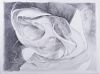 Cynthia Young  "Fragment #6" Graphite Drawing