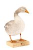 White and Gray Feathered Taxidermy Goose