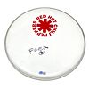 Flea Red Hot Chili Peppers Signed Autographed 12" Drumhead Beckett COA