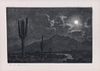 George Elbert Burr, (American, 1859-1939), Moon Light Cactus and Desert Twilight Arizona, two works
