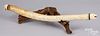 Alaskan Inuit Indian walrus oosik bone