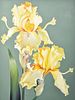 Large Lowell Nesbitt Iris Painting, 75"H