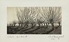 Sunset Tree Hedgerow Etching Signed