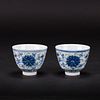 PAIR OF BLUE AND WHITE AND DOUCAI CUPS, GUANGXU PERIOD, QING DYNASTY