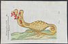 Aldrovandi, pub. 1640 - Seven-headed Hydra Monster. 387