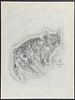 Foujita - Thomyris Signed in Pencil by Artist (Domestic Cat Illustration)