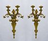 French appliques (pair) bronze gilded in the style of Louis XV