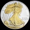 Gold Gilded 2006 American Silver Eagle