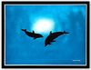 Wyland- Original Painting on Canvas "Dolphins"