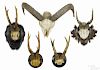 Four European mounted stag antlers, ca. 1900, one with a carved acorn plaque, tallest - 10''