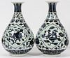 CHINESE BLUE AND WHITE PORCELAIN VASES PAIR