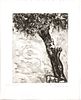 Marc Chagall (French/Russian, 1887-1985) Etching On Montval Laid Paper, C. 1927-31, L'aigle La Laie Et La Chatte, H 11.7'' W 9.4''
