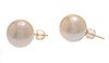 South Sea Pearl (14mm) Earrings 9g 1 Pair