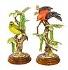 Dorothy Doughty For Royal Worcester Bisque Limited Edition Figures "Scarlet Tanagers", H 14'' W 11'' 2 pcs