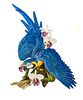 Connoisseur Of Malvern (British, 1979) Bone China Limited Edition Figure Blue Macaw, H 27.5'' W 25'' Depth 20''