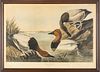 AFTER JOHN JAMES AUDUBON (AMERICAN, 1785–1851) ROBERT HAVELL (PUBLISHER) HAND-COLORED ETCHING, ENGRAVING AND AQUATINT ON PAPER, 1836 H 22" W 35" CANVA