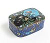 CHINESE CLOISONNÉ ENAMEL COVERED BOX, 19TH.C. H 2.25", L 6" 