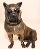 A Continental Terra Cotta Figure of a Pug Height 14 inches.