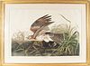 AFTER JOHN JAMES AUDUBON (1785-1851) BY ROBERT HAVELL (1793-1878) ENGRAVING WITH ETCHING, AQUATINT AND HAND-COLORING ON J WHATMAN TURKEY MILL PAPER WI