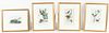 AFTER JOHN JAMES AUDUBON (1785-1851) LITHOGRAPHS WITH HAND COLORING ON WOVE PAPER, 4 PCS, H 6"-9.5", BIRD STUDIES 