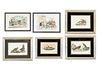 STONE LITHOGRAPHS AFTER AUDUBON & HAND-TINTED ITALIAN ENGRAVINGS, 6 PCS, H 6"-9"