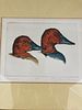 ALAN JAMES ROBINSON Signed CANVASBACK DUCKS Hand-colored Etching LIMITED EDTION Numbered
