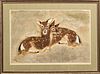 AFTER CHARLES CULVER (AMERICAN 1908-1967) COLOR SERIGRAPH ON PAPER, H 17 1/2", W 26 1/2" TWO FORMOSAN DEER, #218/240 