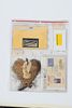 FIRST NATIONS EXPLORATION 1ST-DAY COVERS POSTAL-MAIL  H 12" W 9.5" 