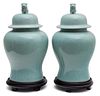 A Pair of Chinese Export Celadon Glazed Covered Jars Height 16 inches.