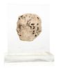 Gothic Carved Stone Head Profile Height 3 inches.