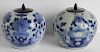 Pair Chinese Blue and White Porcelain