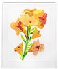 Jonas Wood Yellow Flower Screen Print