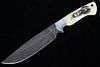 Montana Blackfeet Scrimshaw Damascus Knife Bozeman
