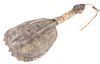 Eastern Woodlands Snapping Turtle Rattle c.19th C
