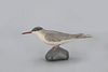 Early Tern by A. Elmer Crowell (1862-1952)