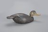 Early Humpback Black Duck Decoy by The Ward Brothers